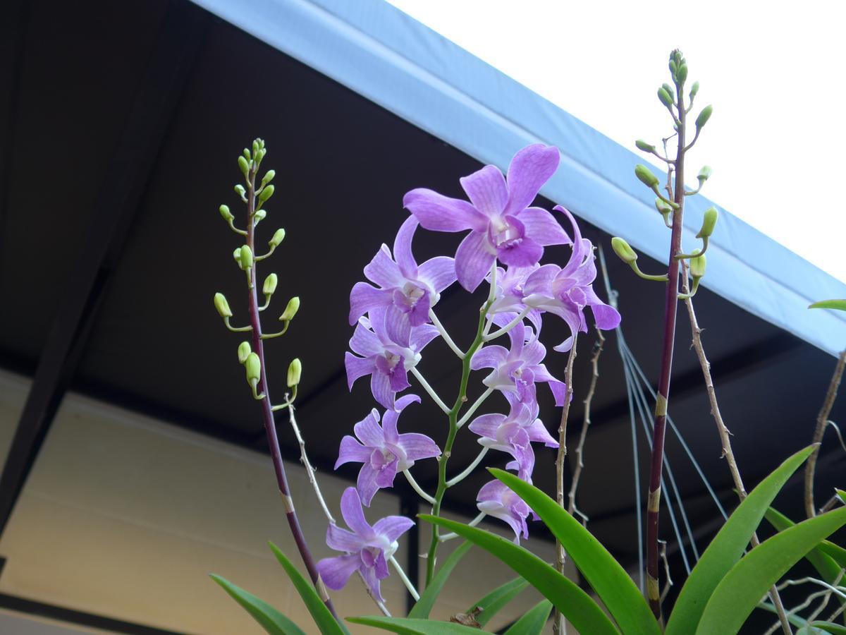 Forum House Hotel Krabi Exterior photo